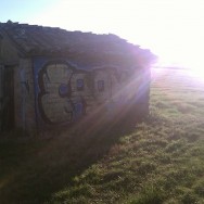 Street art Tarn