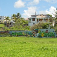 Street art Guadeloupe, Le Moule