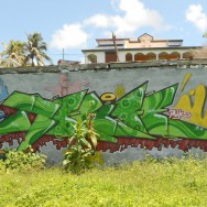 Street art Guadeloupe, Le Moule