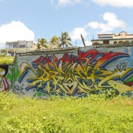 Street art Guadeloupe, Le Moule